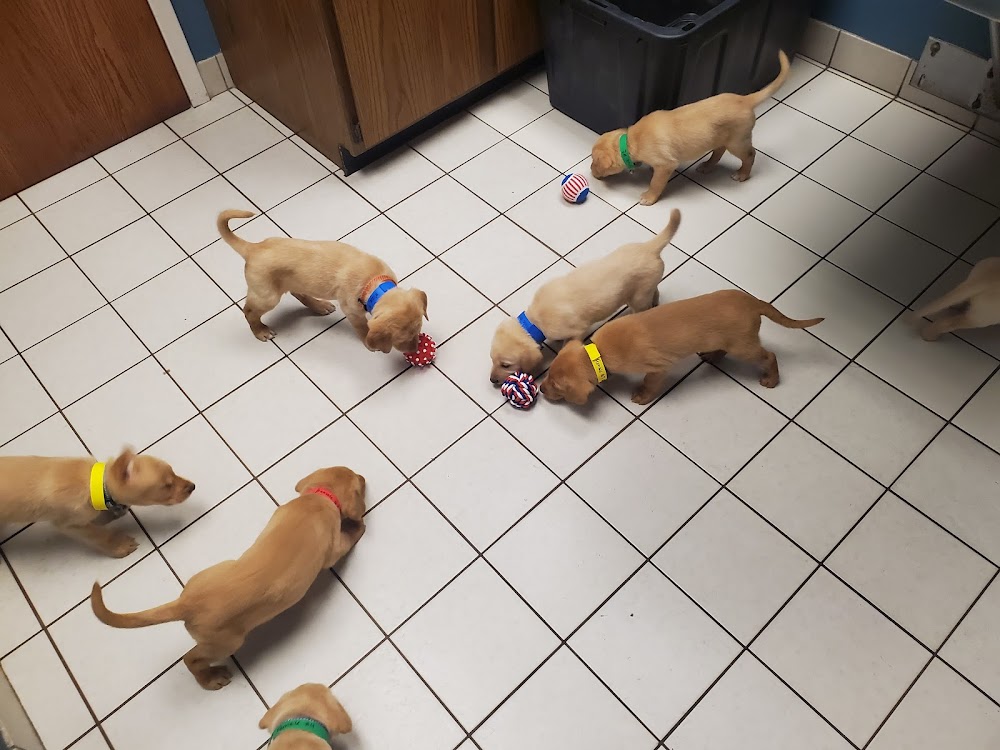 Bass Lake Pet Hospital