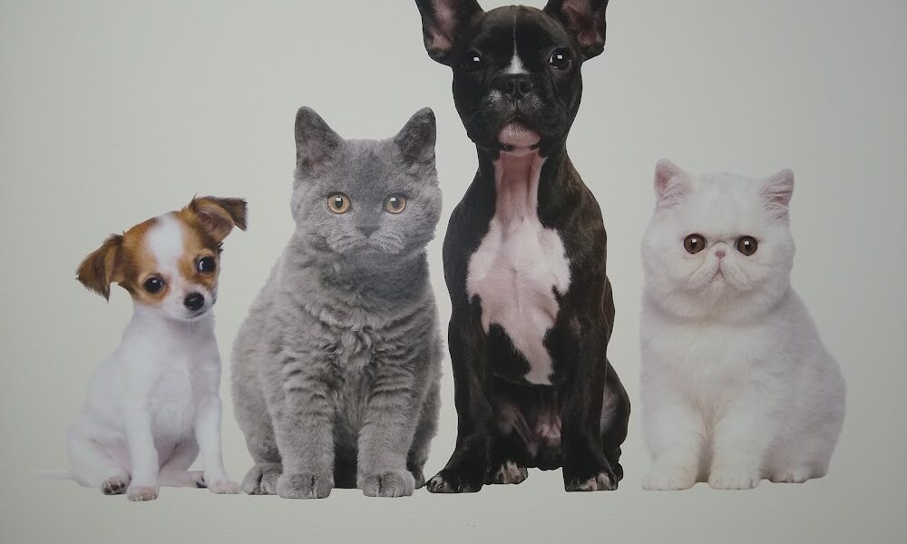 Blaine Central Veterinary Clinic