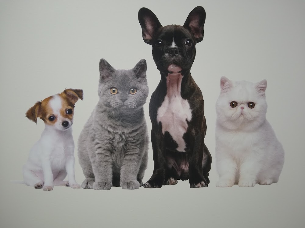 Blaine Central Veterinary Clinic