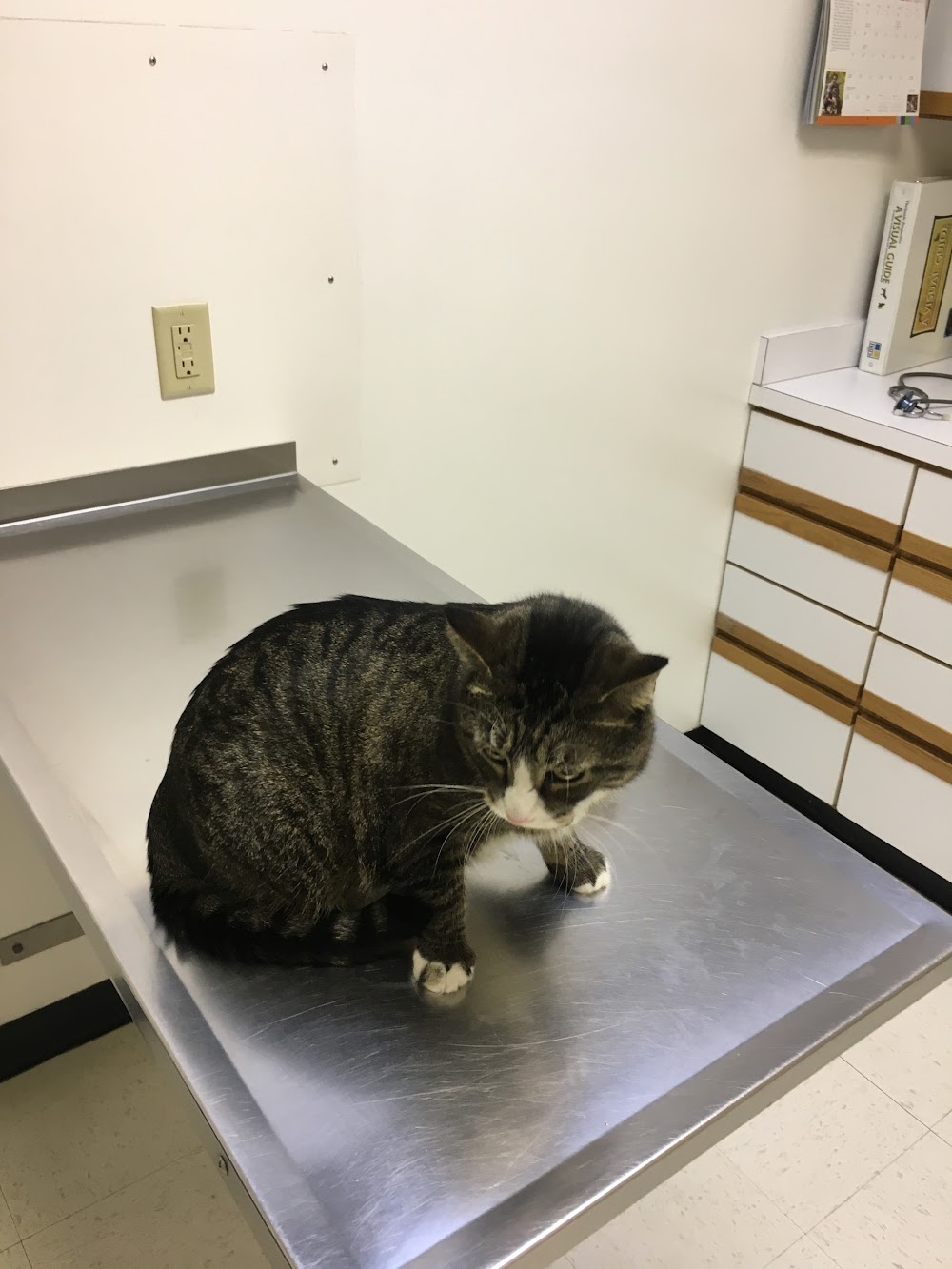 Broadway Robbinsdale Animal Hospital LTD