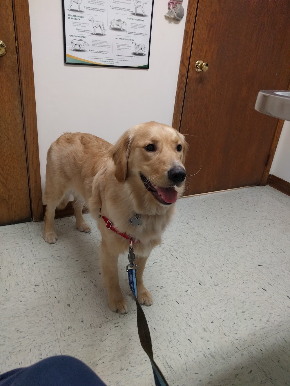 Centennial Veterinary Clinic