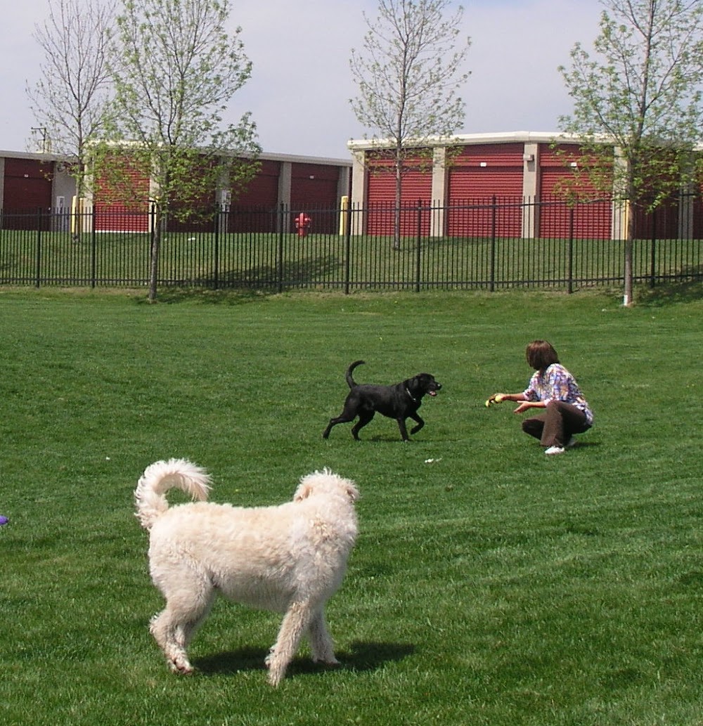 Companion Animal Hospital
