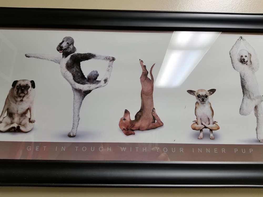 Elm Creek Animal Hospital