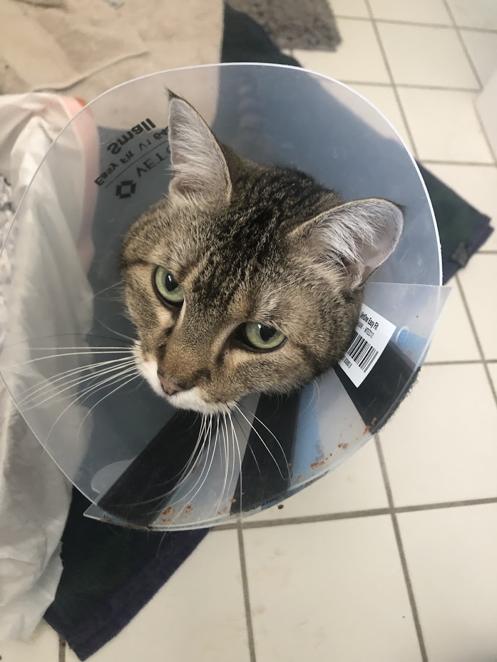 Minnetonka Animal Hospital