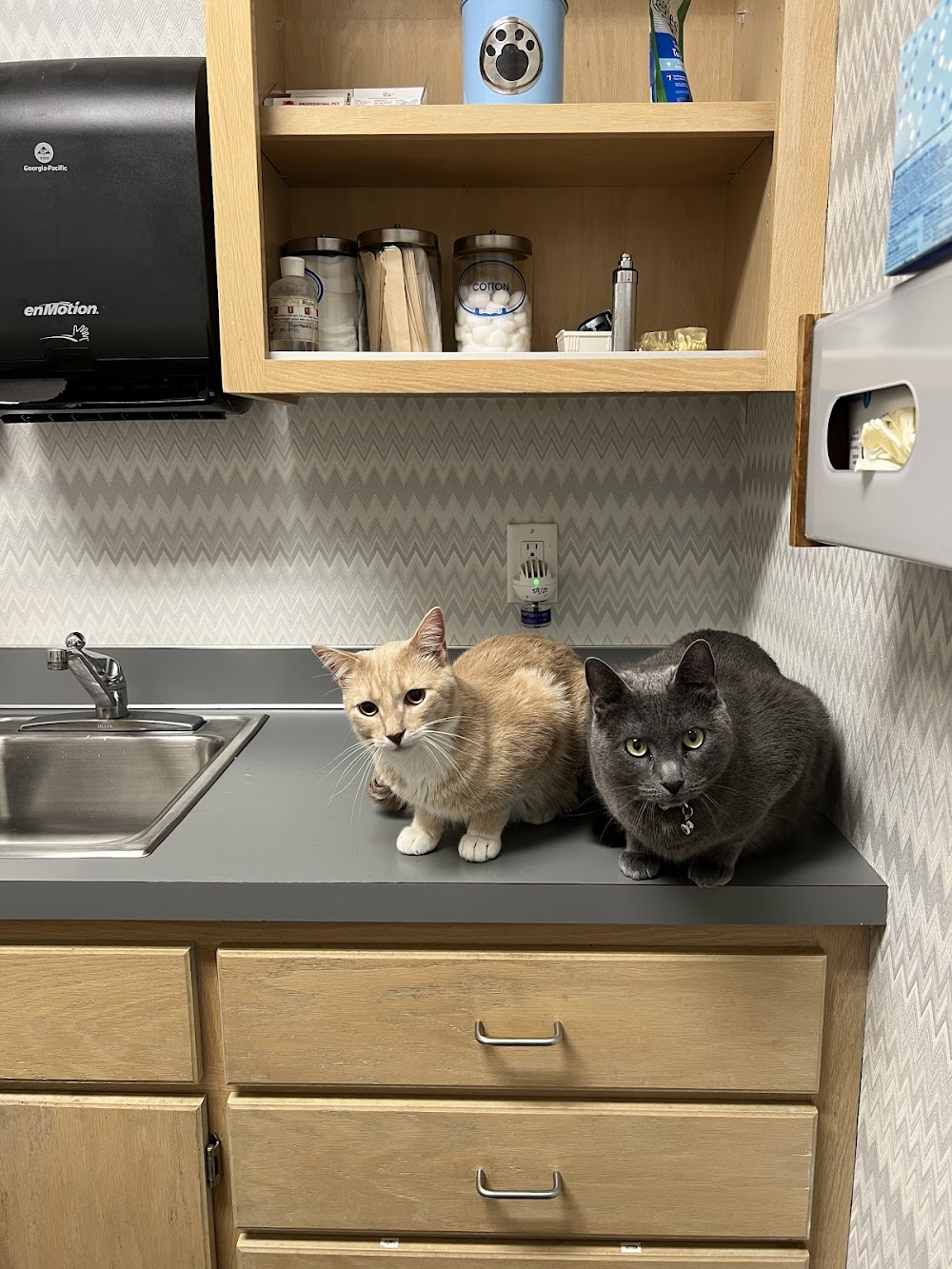 New Hope Animal Hospital – MN