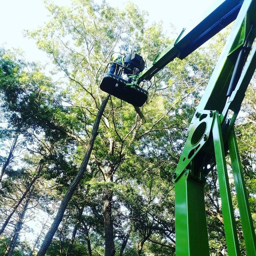 NWI Tree Service & Landscaping