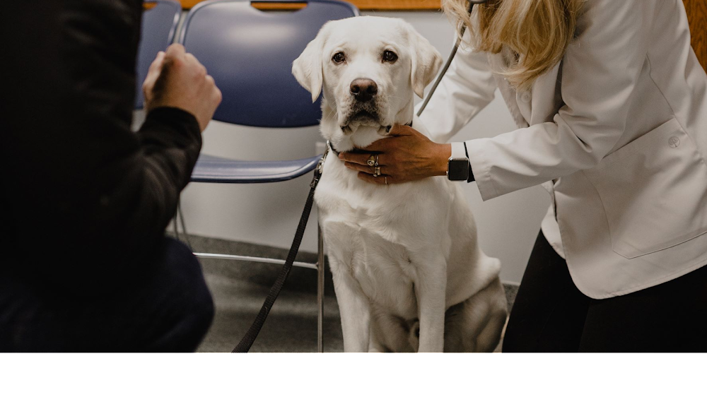 Prairie Village Pet Hospital