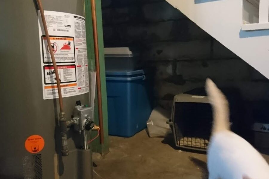 Weld & Sons Plumbing